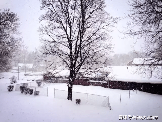 实习|毕业不用写论文毕业后居然还有三年OPT？罗彻斯特大学MKT就读体验