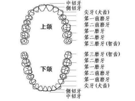 什么牙切齿成语_成语故事图片(2)
