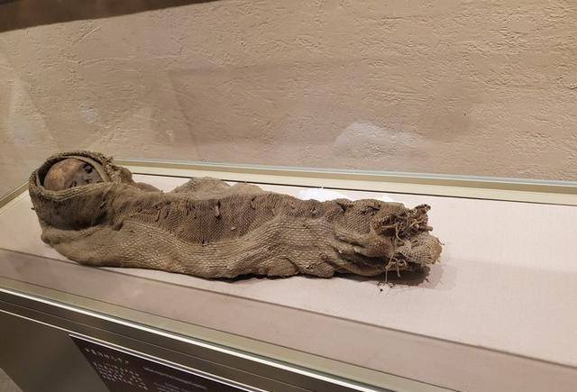 我们去新疆博物馆看看这里独特的馆藏:自然干尸