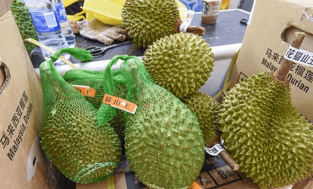 怎么挑选榴莲皮薄肉又多 c025e43738014ca58fadcd3e928d5ec2.png