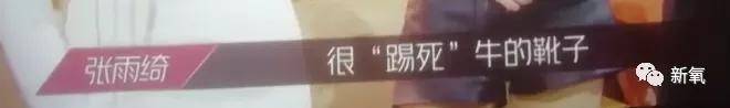 背有|原创虽然张雨绮的背有两个王丽坤那么厚，但她的鼻子…