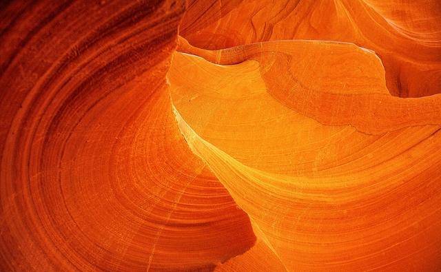 世界|世界上最优雅的橙