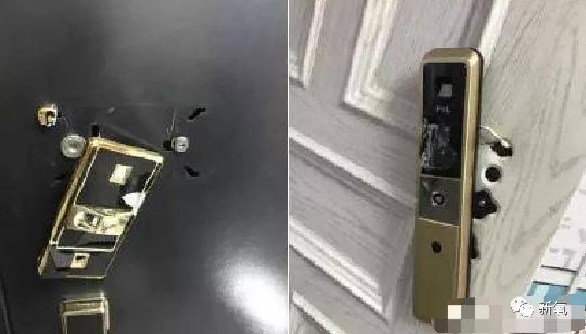 微博|原创啥？李国庆俞渝高调复合了？！