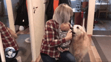 女主抱着宝宝回家，开门后金毛就糊涂了，狗：还是丢了吧