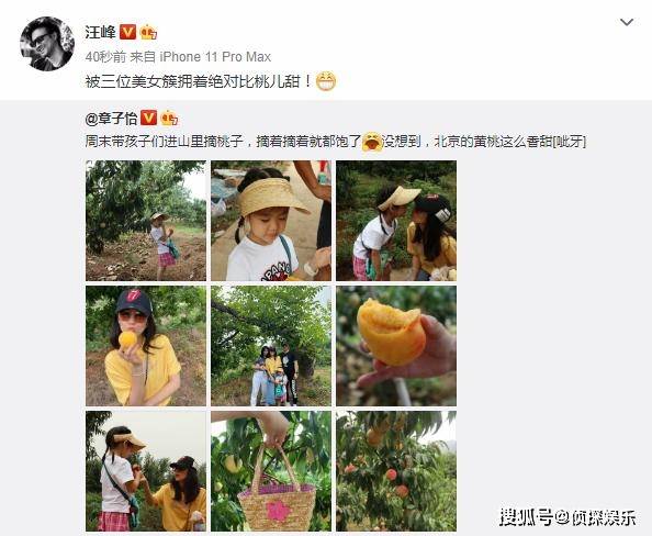 章子怡晒一家四口进山摘桃,小苹果身高超妈妈,醒醒变可爱小吃货