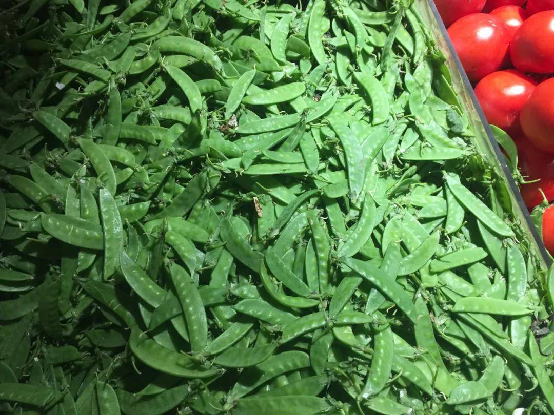 鼎力大举推进设施农业机械化(二):补