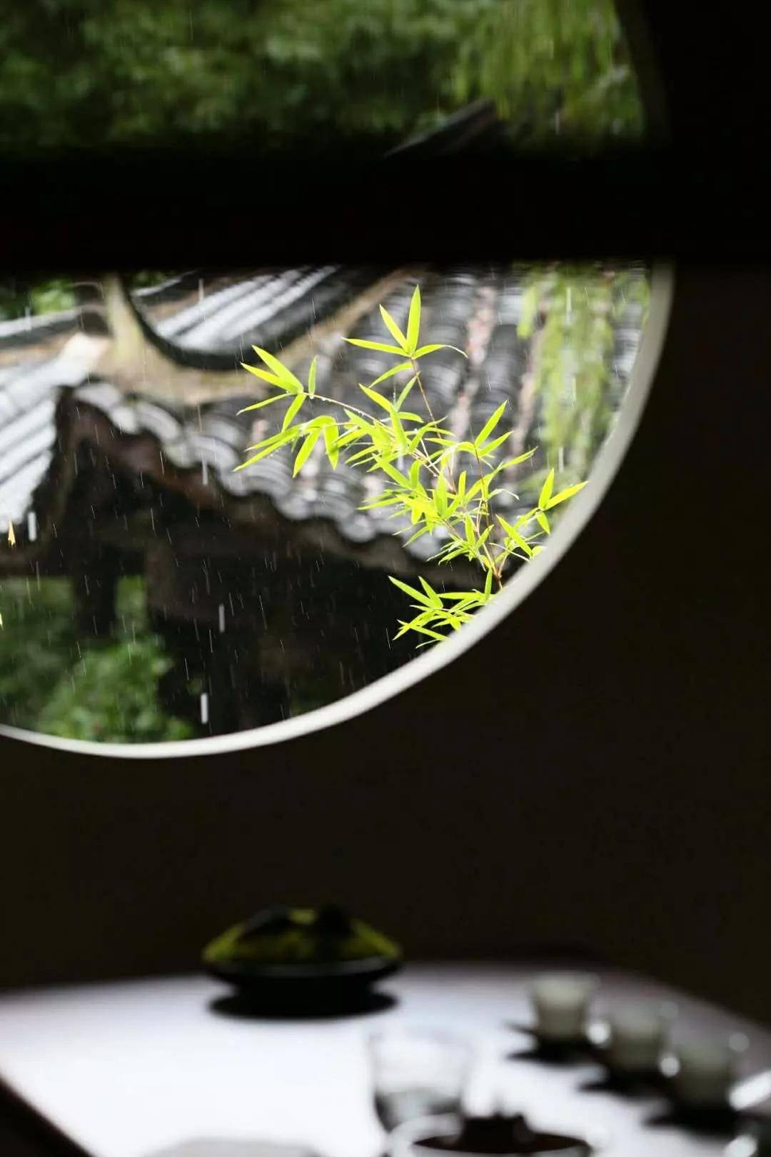 茶与书 | 静坐饮茶,品书解暑.