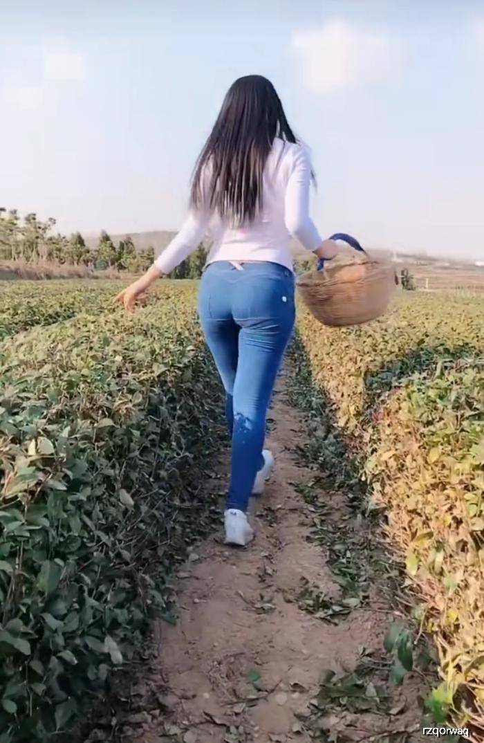 原创微胖女神摘茶叶,紧身牛仔裤包裹丰腴紧致完美身姿!