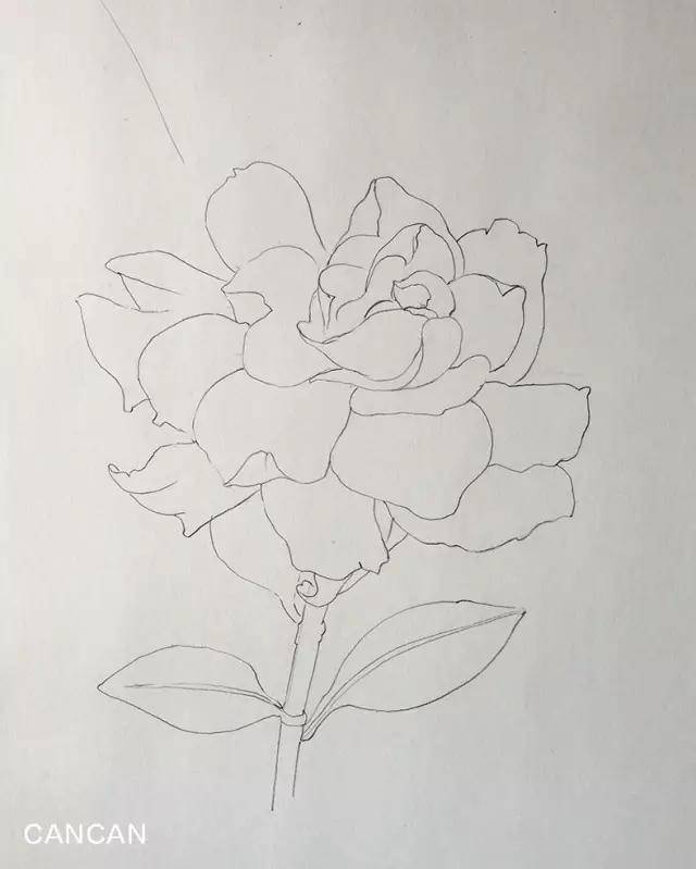 【推荐】彩铅画入门视频|彩铅画教学视频简单!