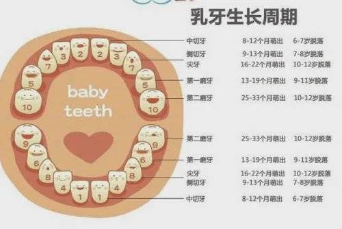 宝宝长牙一般有哪些症状?孩子长牙要注意什么?