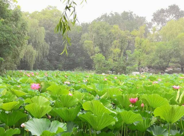 毕业|这5大专业硕士毕业薪资高！有你想报考的吗？