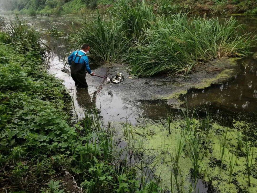 多图直击!顺义区南法信镇清理河道助防汛,未雨绸缪保畅通