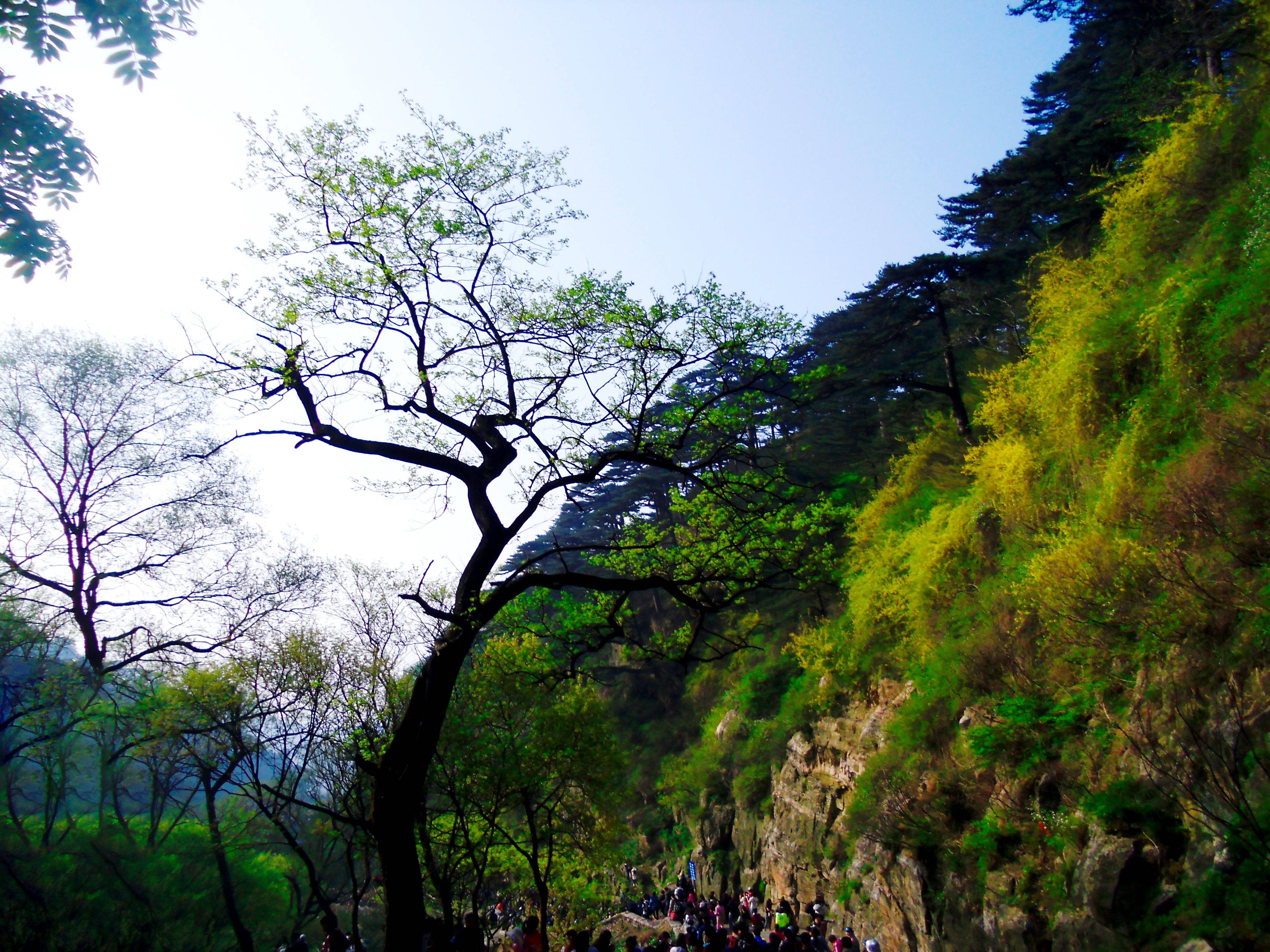 东岳泰山风光