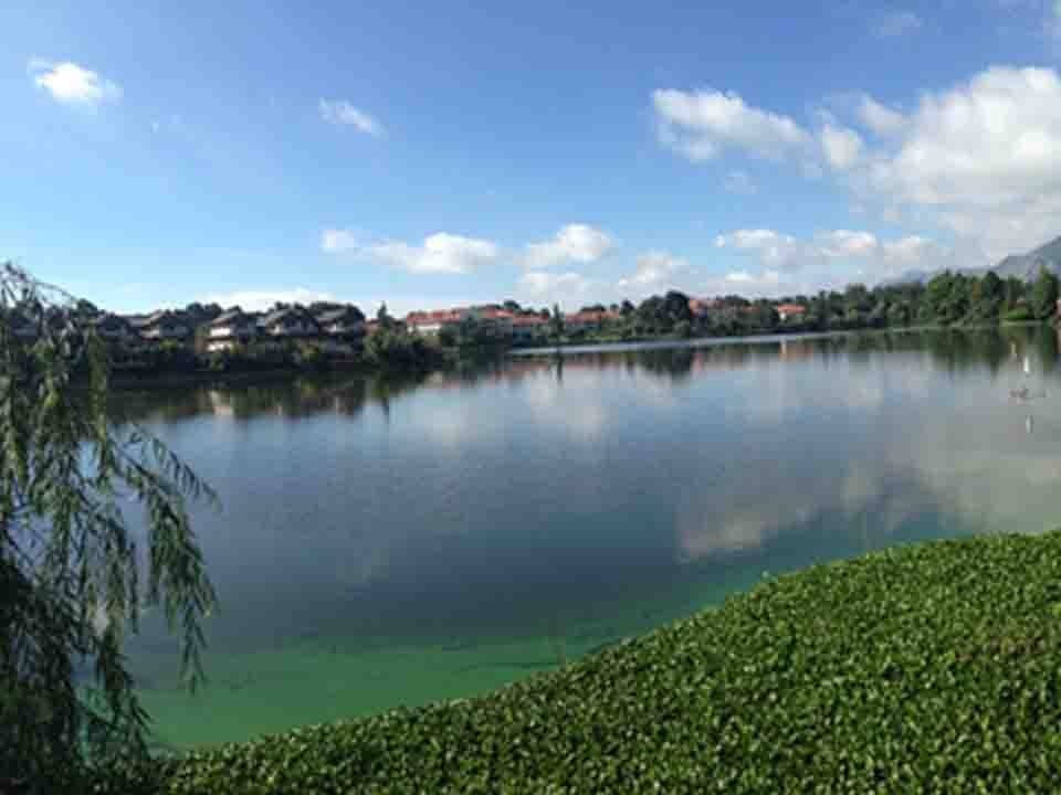 海口市2020年上半年G_海口市地图