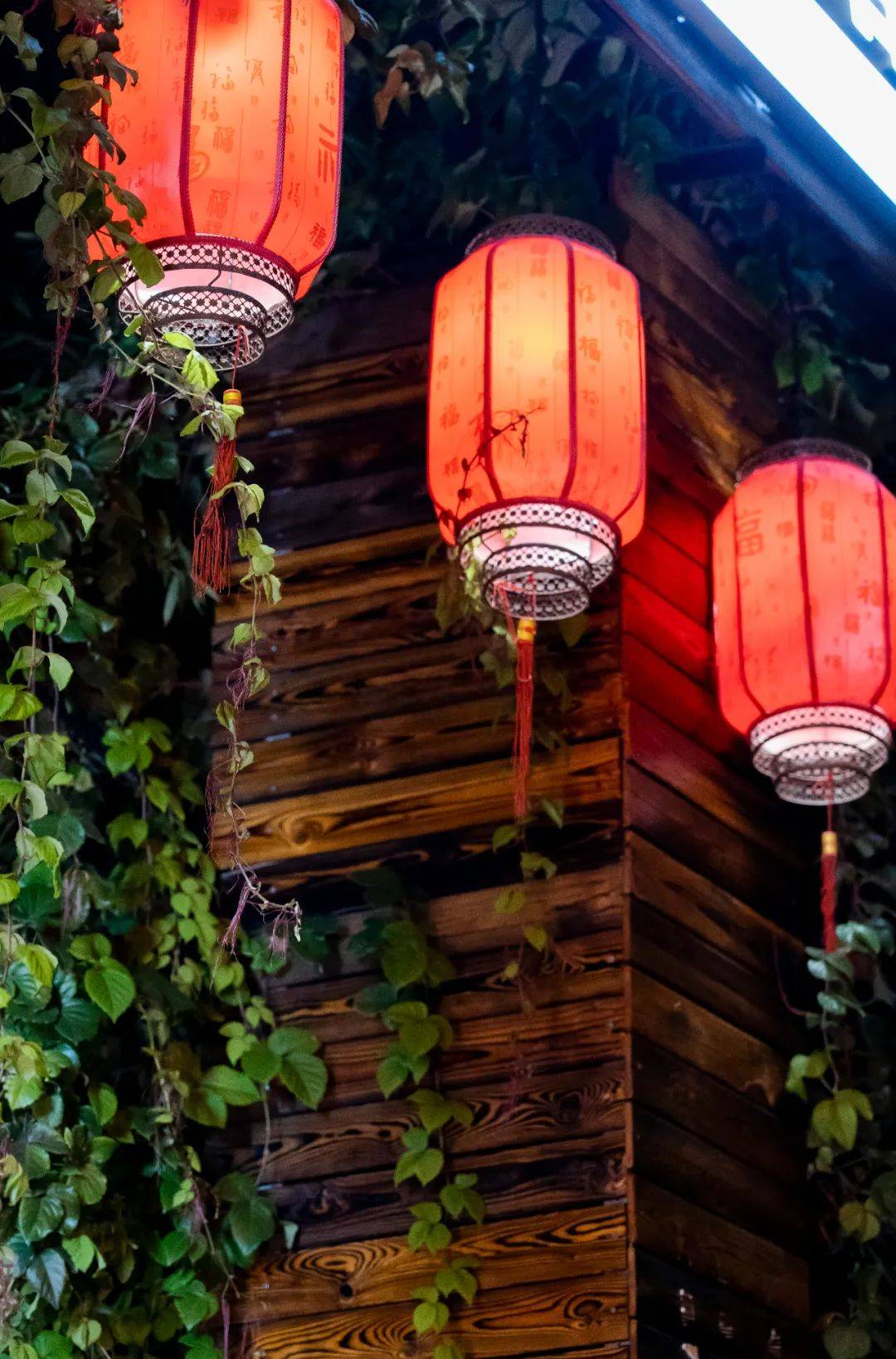 连唐僧|生蚝比47码皮鞋大,连唐僧都无法拒绝藏在昆明小区的老字号烧烤