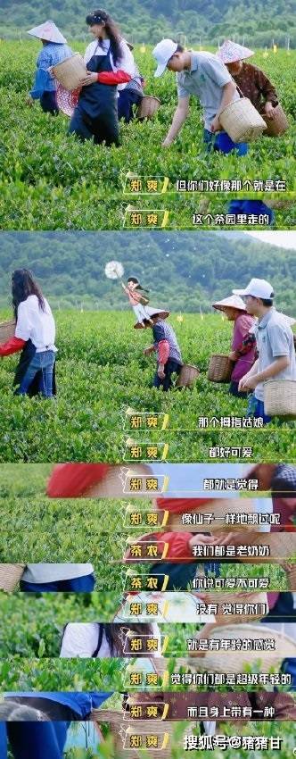 郑爽采茶夸阿姨，单手抱娃录制新剧主题曲，用