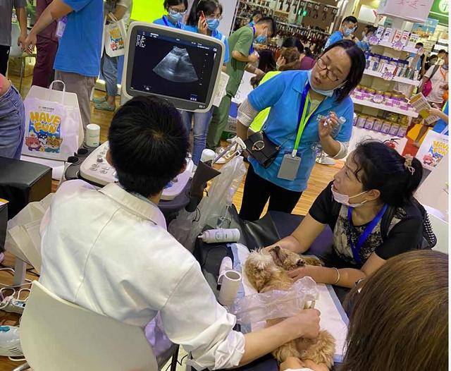 品牌|行业首展开幕：观众破2万，多家展商表示＂超预期＂