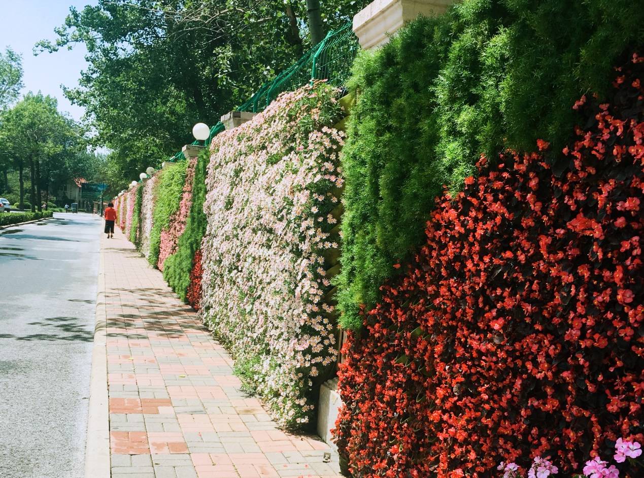 原创中国经济筑底，楼市夜壶歇业、股市回调！我们该怎么办？