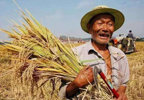 低收入|国内粮食为何二十年不涨，其它商品几十倍大涨？