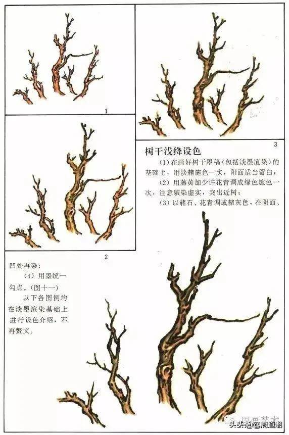 鹿角枝设色 夏树干枝根设色 霜林设色 蟹爪枝设色