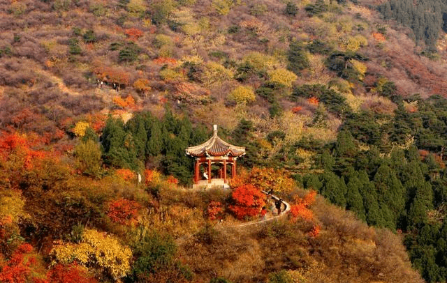 怎么搭香山_香山红叶简笔画怎么画