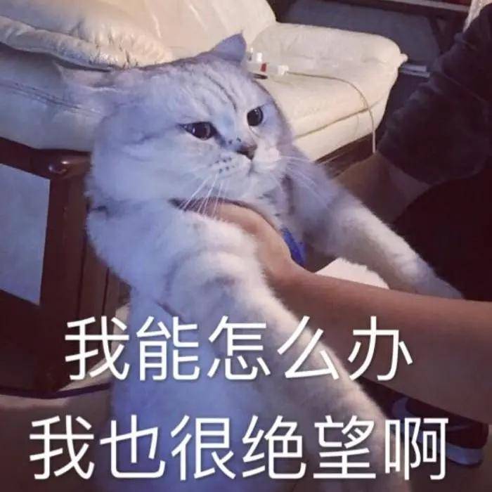 八卦爆料|原创高以翔最后的“道别”上线，这样揭露娱乐圈内幕真的好吗?