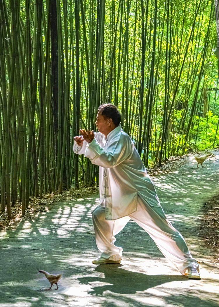 竹什么游成语_成语故事图片(3)