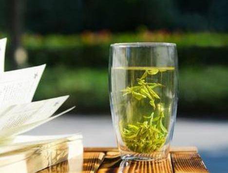 观点评论|什么是茶什么是茗，诗词中为何有时用茗、有时用茶？