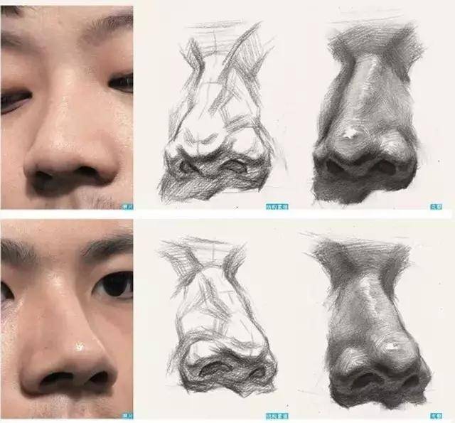 对五官的了解应是画好素描头像很根本,很重要的一个方面.