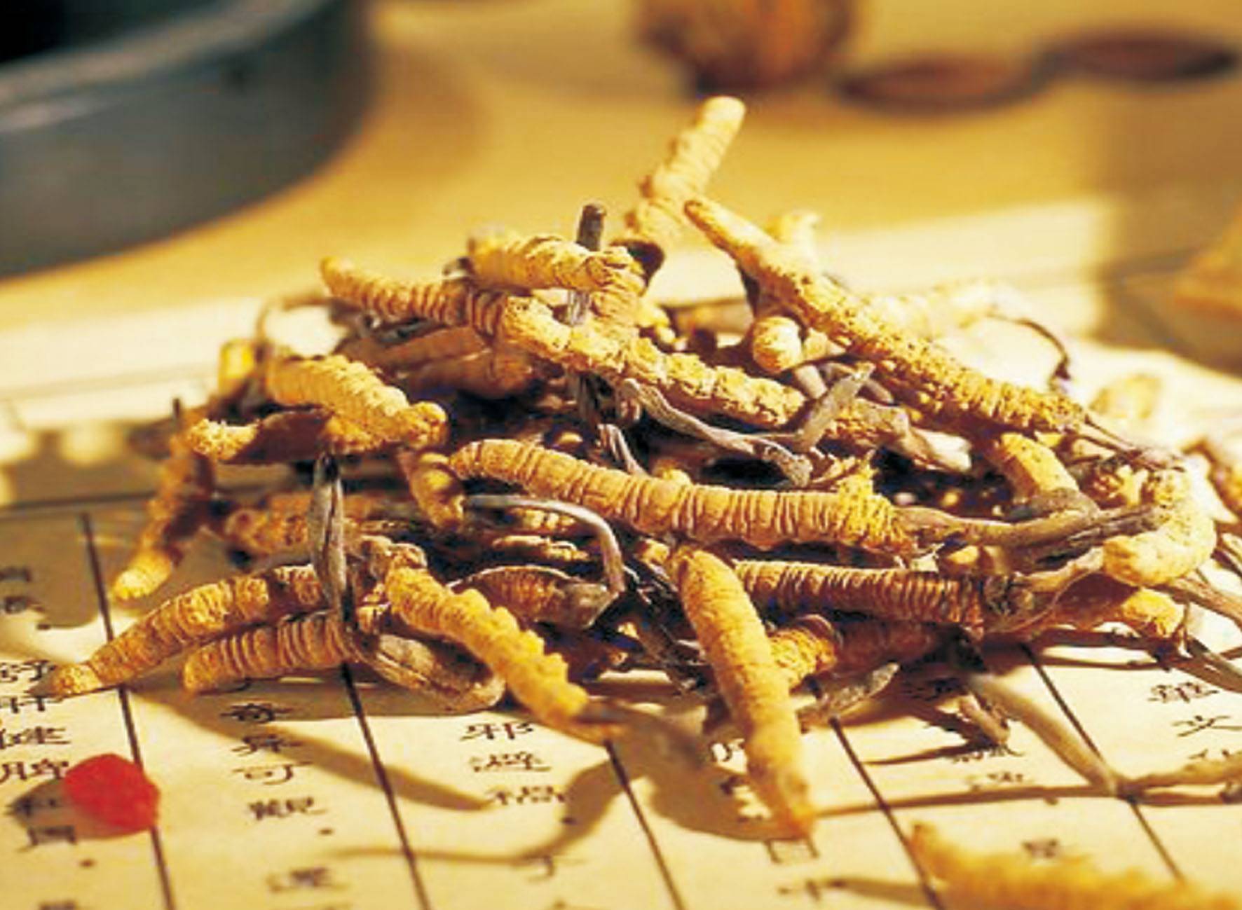 茯苓|盘点中国九大仙草分别是什么 有什么功效