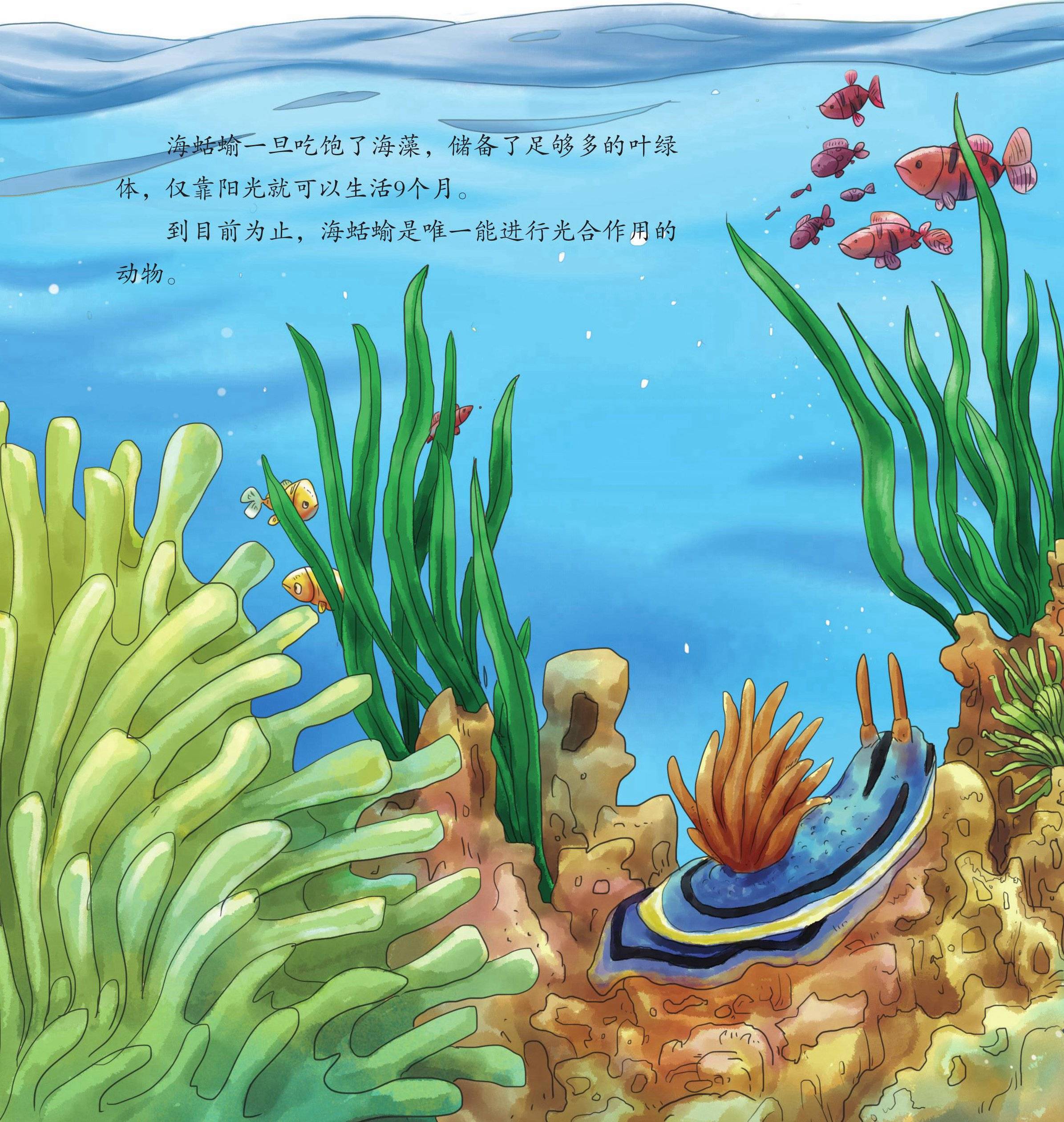 儿童绘本故事推荐《海洋里的怪物中》