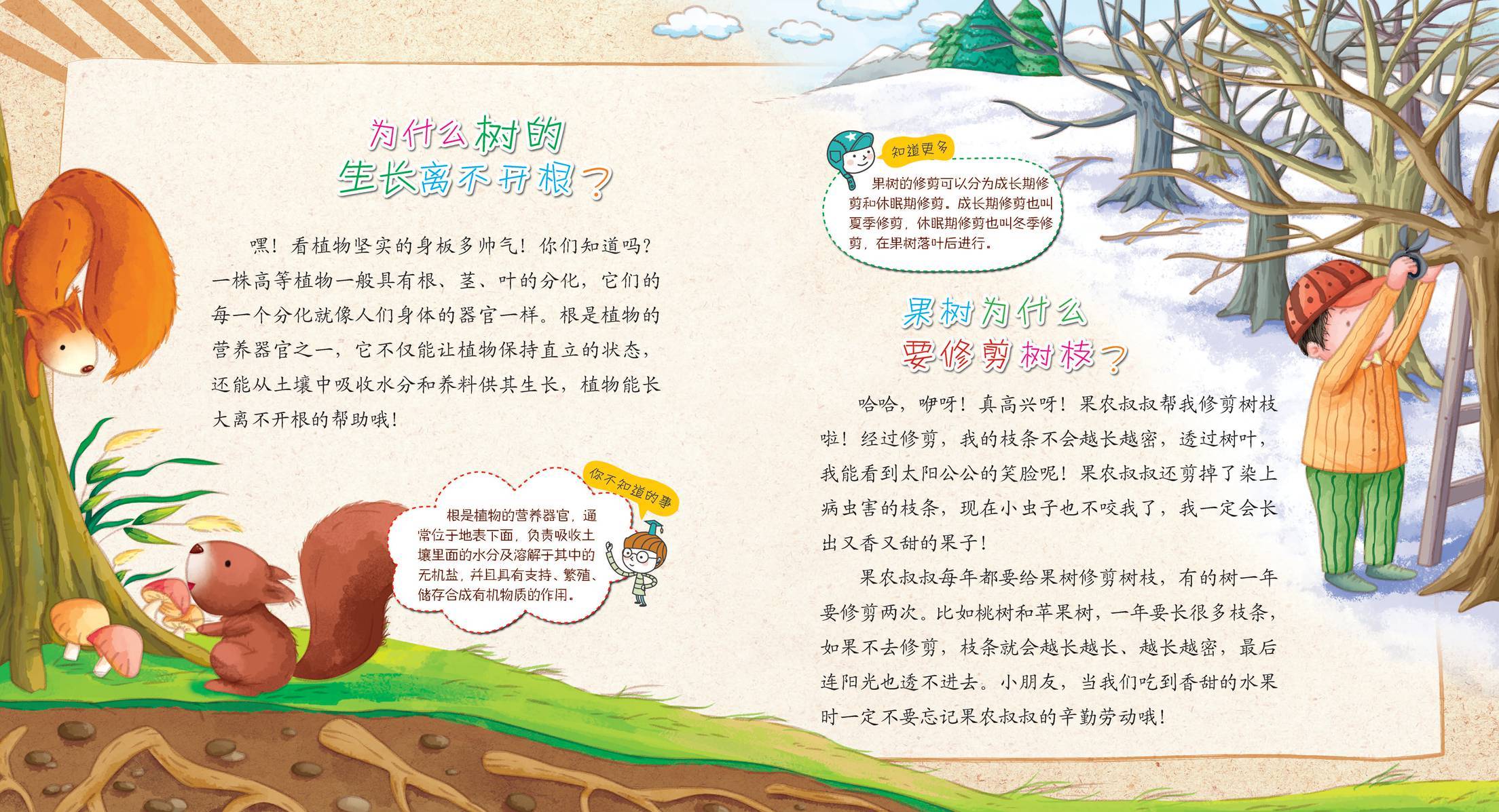 儿童绘本故事推荐《种子长大了》
