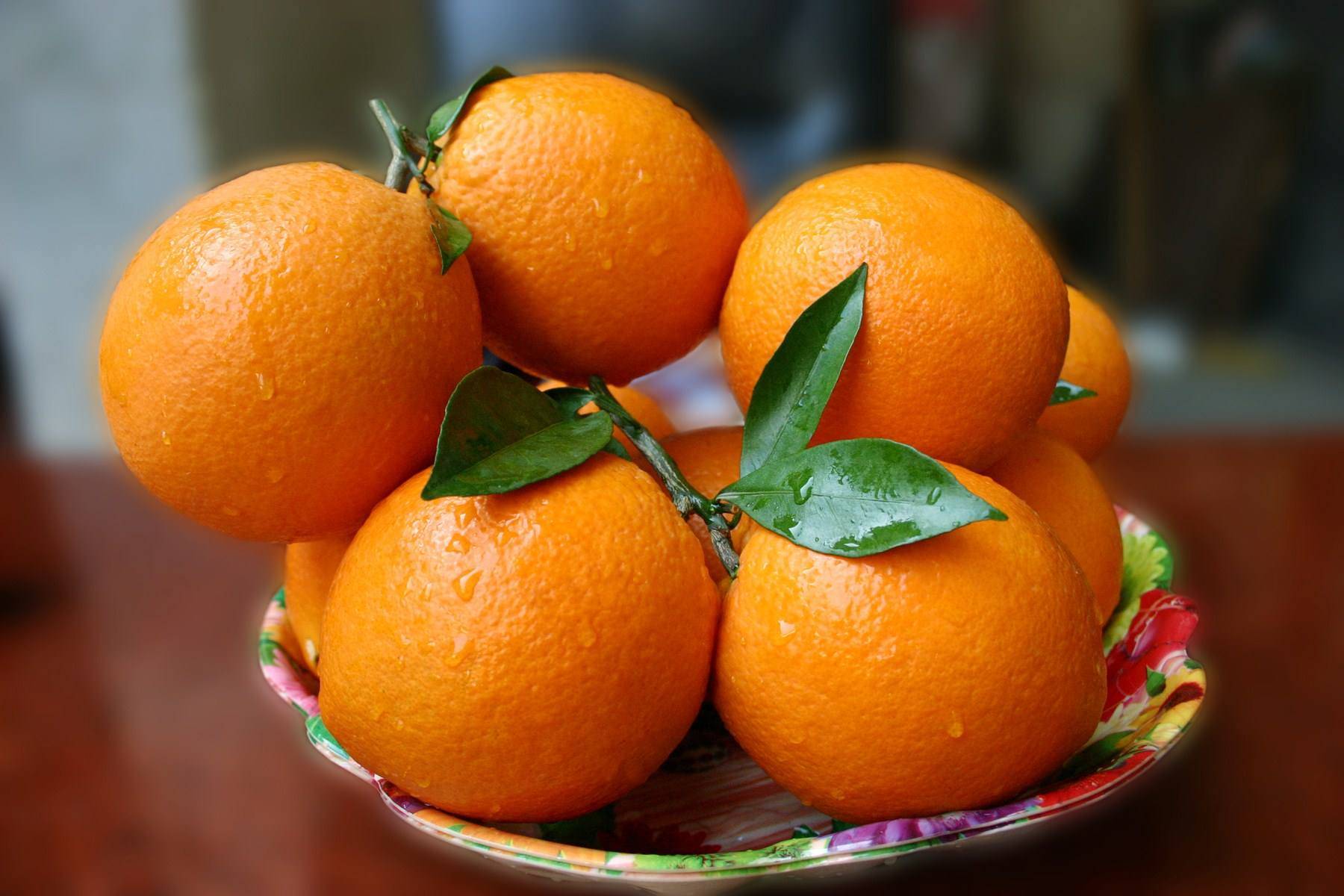 橙子|真全粮-橙子酒酿酒方法步骤