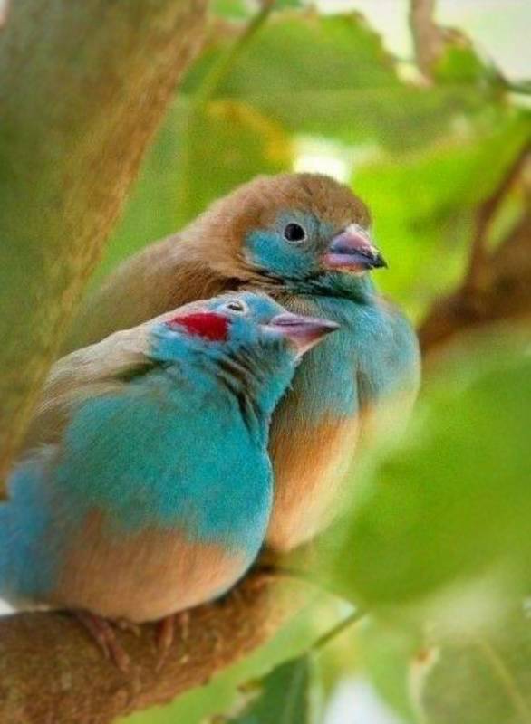 泉城|德慧沉思录之五三三——德慧做人歌