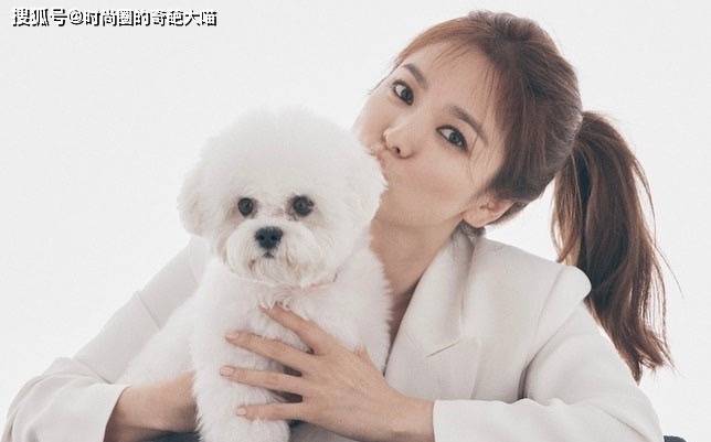 造型|宋慧乔的眼线是半永久了？每套造型强行装酷，不顾违和感直接硬套