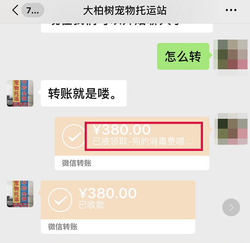 检疫|网购宠物到家3天就死了 违法快递为何屡禁不止？