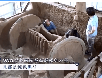 资源|历时3年！陕西成功修复青铜豪车，一辆跨越两千八百年的时光的马车