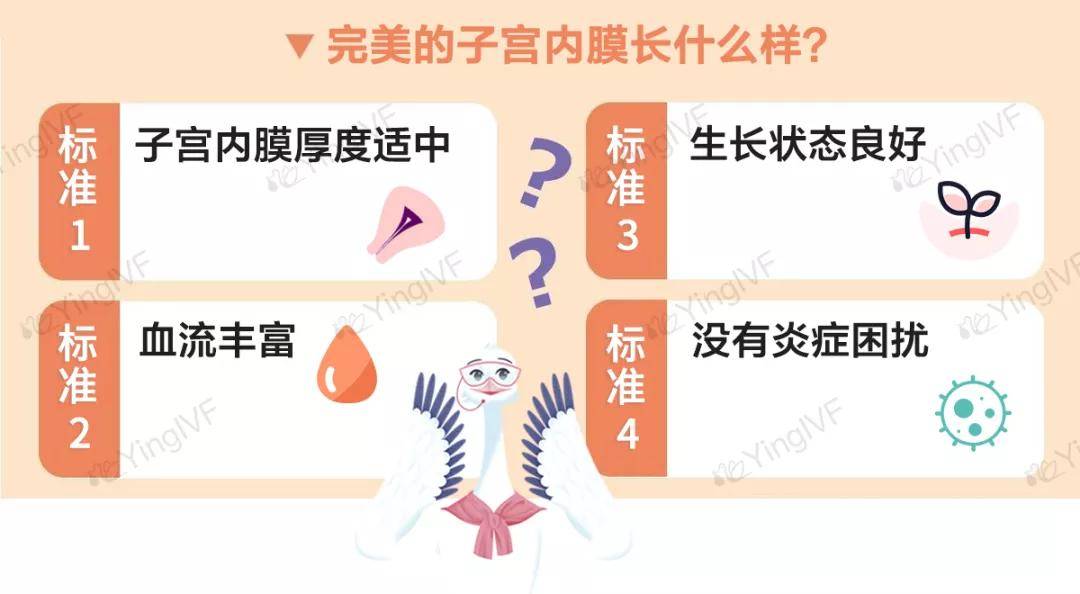 发现内膜薄,子宫内膜炎,教你避开这四个坑,养出完美内膜!