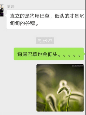 惹毛|想惹毛一个人，你就玩儿命学他说话！