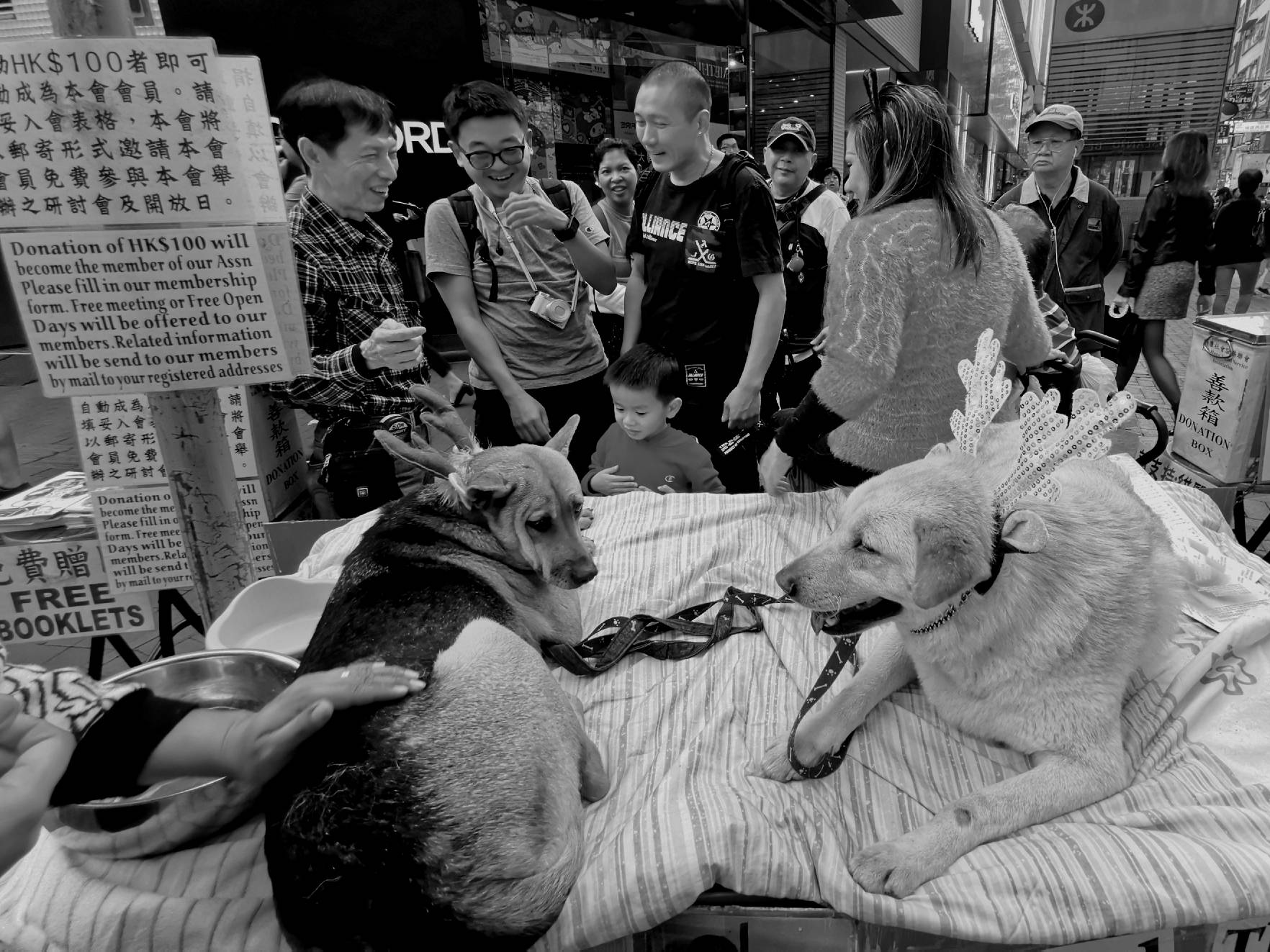 美图|生活就是那匆匆而过的身影，摄影达人的手机街拍。