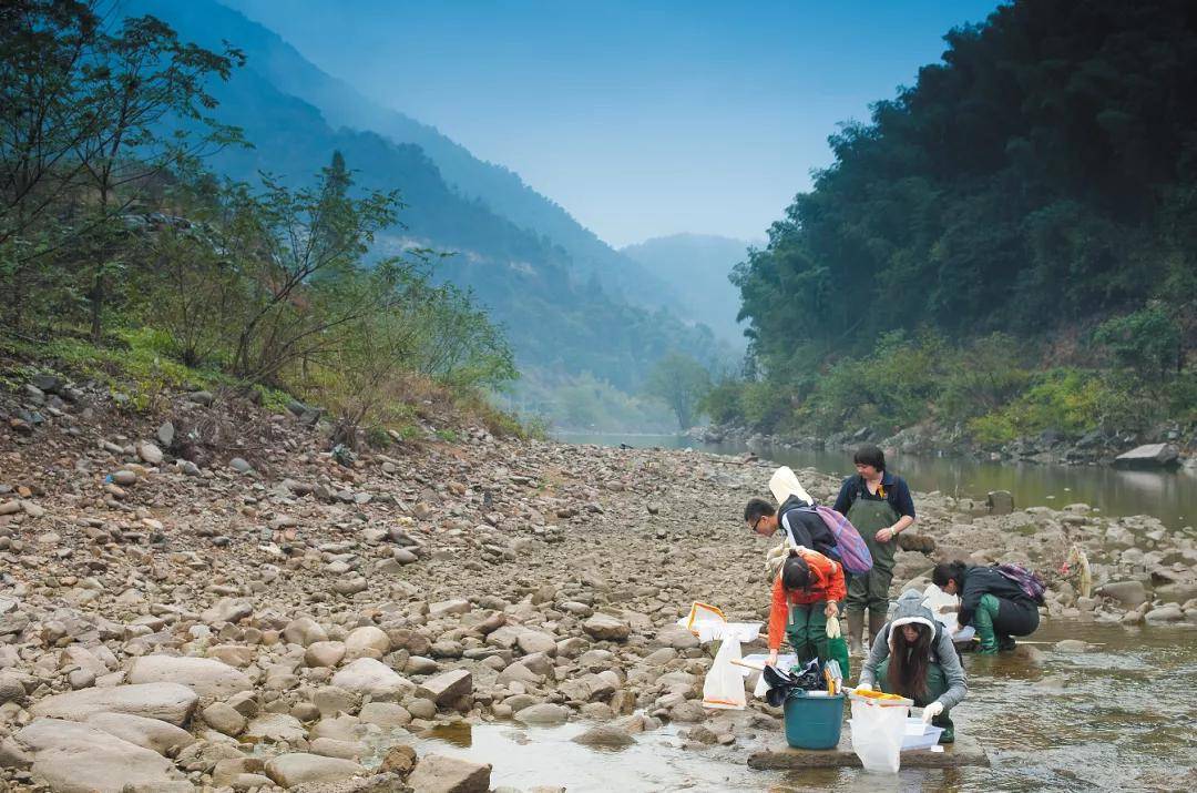 宁诺|超30%深造学生进入全球TOP10高校！这所新型大学备受瞩目