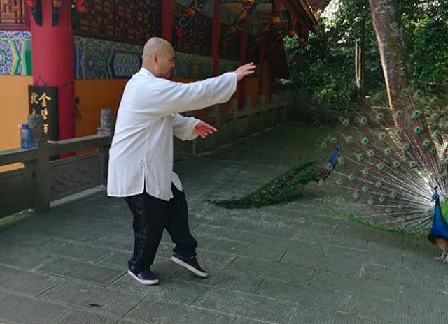 雷雷|太极雷雷：练习传统武术未必能实战，锻炼身体有什么不行呢