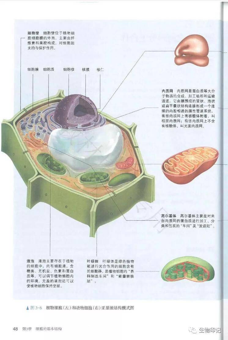 2019新人教版高中生物必修1《分子与细胞》电子课本(高清pdf版)_资源