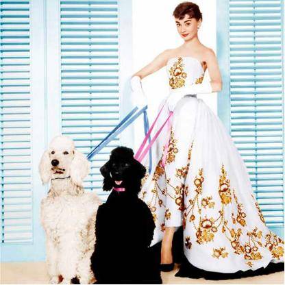 奥黛丽·赫本|法式风美到唤醒少女心！穿出来的优雅与自信，为气质与颜值做乘法