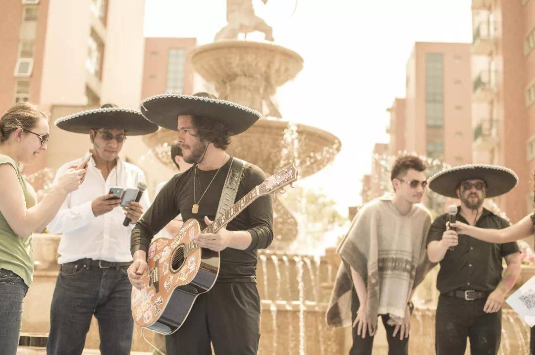 宁诺|超30%深造学生进入全球TOP10高校！这所新型大学备受瞩目