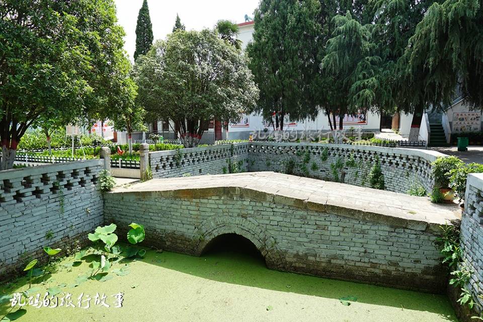 楚王|河南这所小学 藏中国唯一楚王行宫遗址 千年古柏屡冒青烟实属罕见