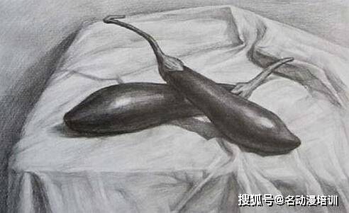 线条|画画初学者应该画什么？