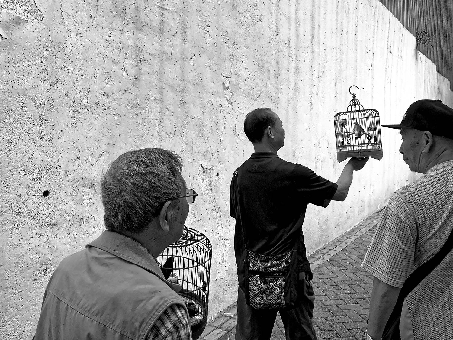 美图|生活就是那匆匆而过的身影，摄影达人的手机街拍。