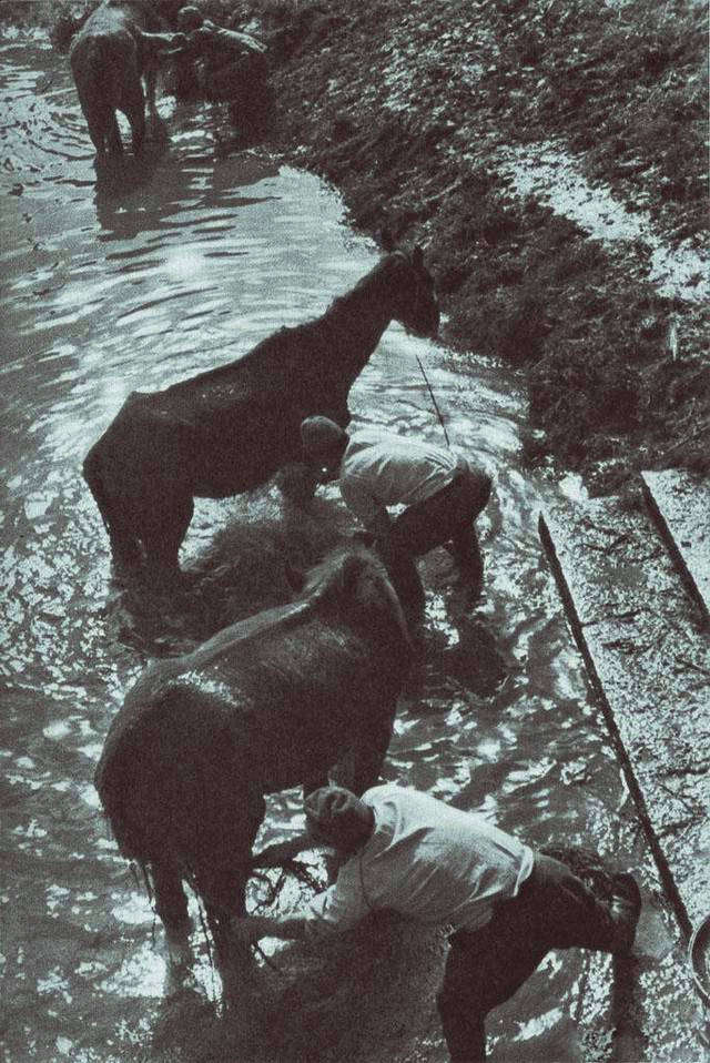 观点评论|一张淞沪会战国军士兵的老照片,很多人感动的哭了,结果是假的