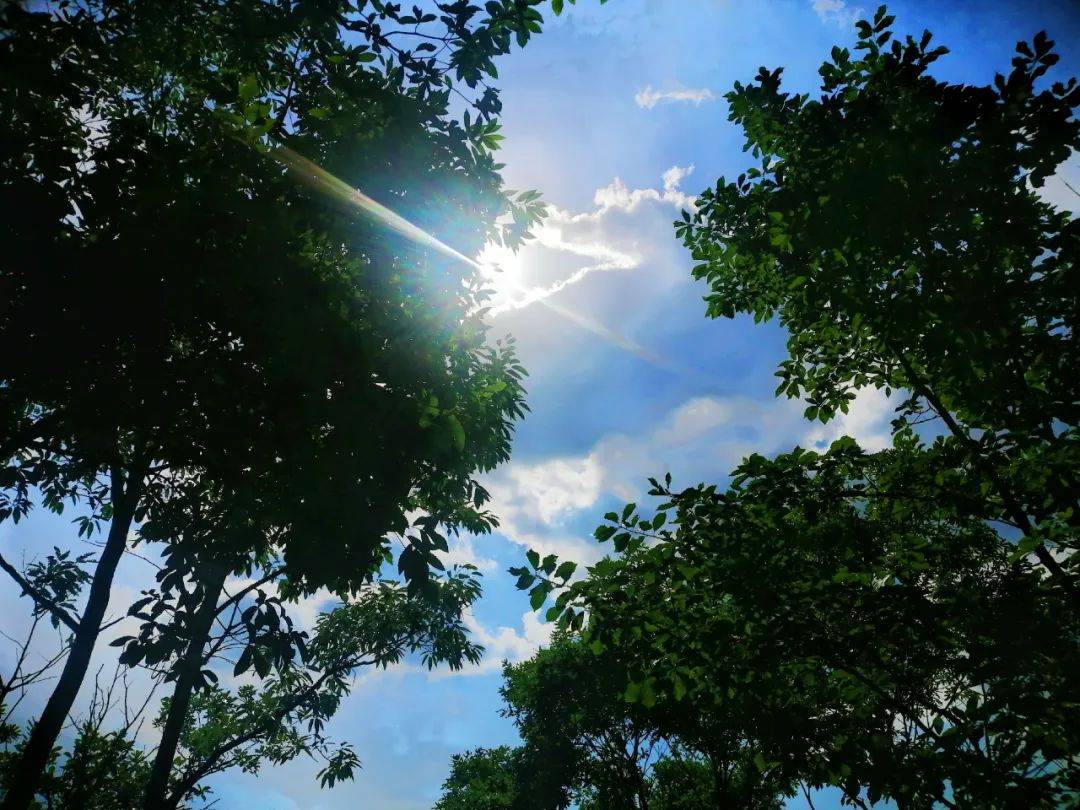 法中 最有情调者当然是"躲"入西泰山自然山水 让你清凉一夏烈日炎炎